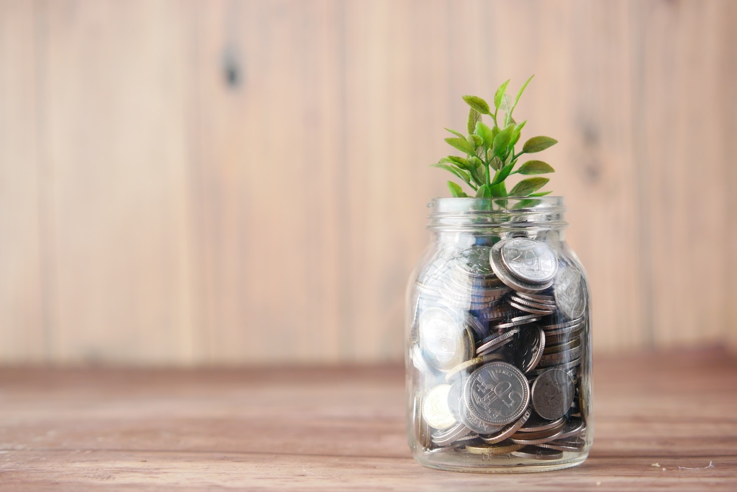 Sustainable Business Growth Through Strategic Insights